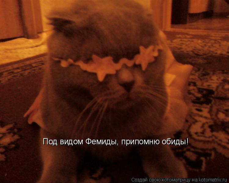 Котоматрица: Под видом Фемиды, припомню обиды!