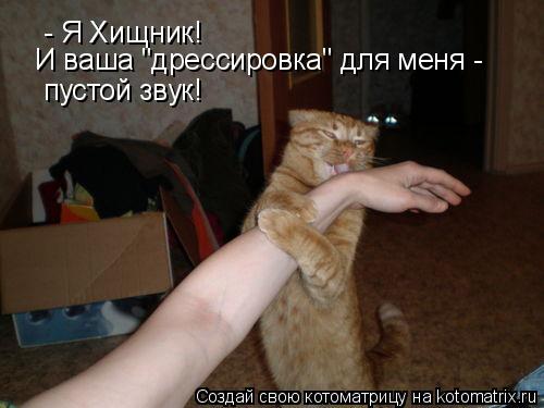 - Я Хищник! И ваша "дрессировка" для меня - пустой звук!... Котоматрица: - Я Хищник! И ваша "дрессировка" для меня - пустой звук!