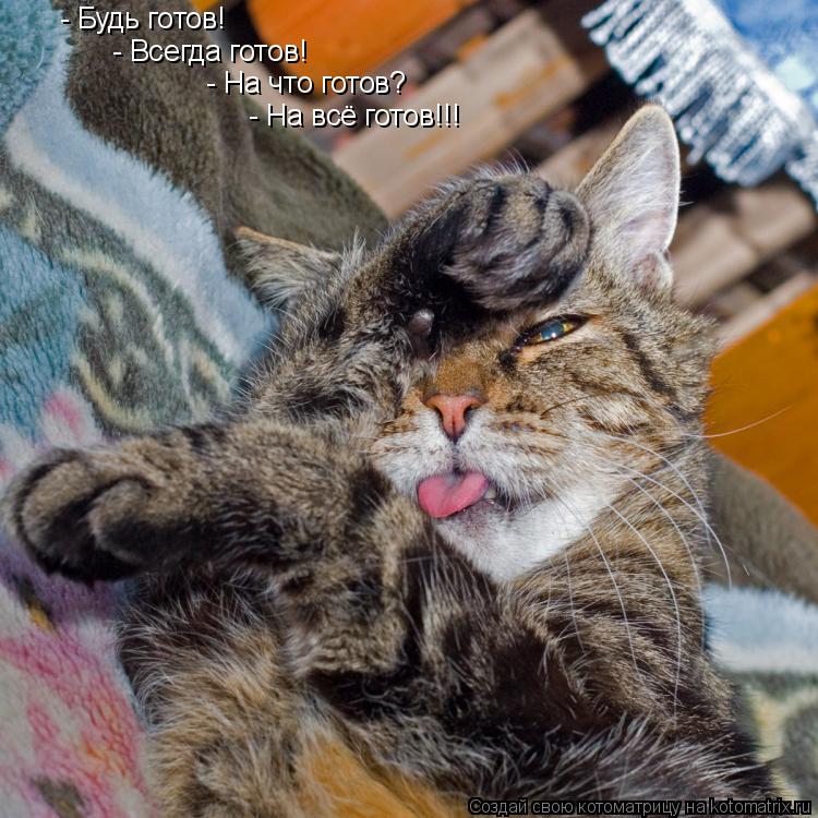 Котоматрица: - Будь готов! - Всегда готов! - На что готов? - На всё готов!!!