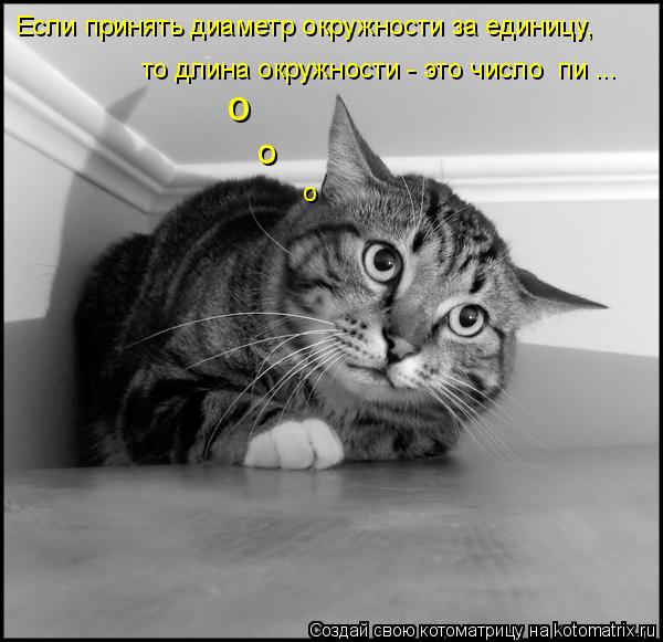 Котоматрица: Если принять диаметр окружности за единицу,  то длина окружности - это число «пи»... о о о