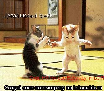 Котоматрица: ДАвай нижний брейк Счас НА голове Буду крутитьСЯ