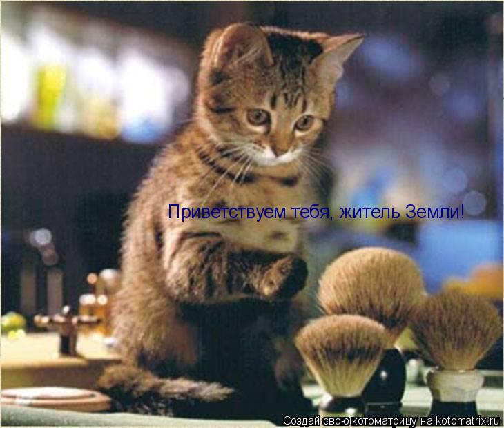 Приветствуем тебя, житель Земли!... Котоматрица: Приветствуем тебя, житель Земли!