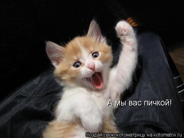 Котоматрица: А мы вас пичкой!
