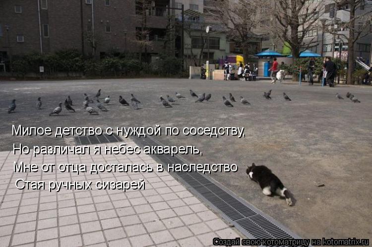 Котоматрица: Милое детство с нуждой по соседству, Но различал я небес акварель, Мне от отца досталась в наследство Стая ручных сизарей