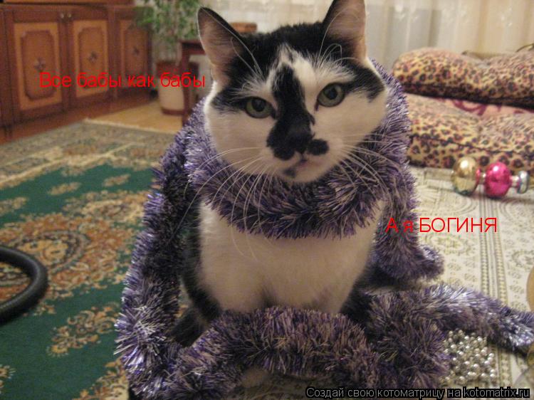 Котоматрица: Все бабы как бабы А я БОГИНЯ