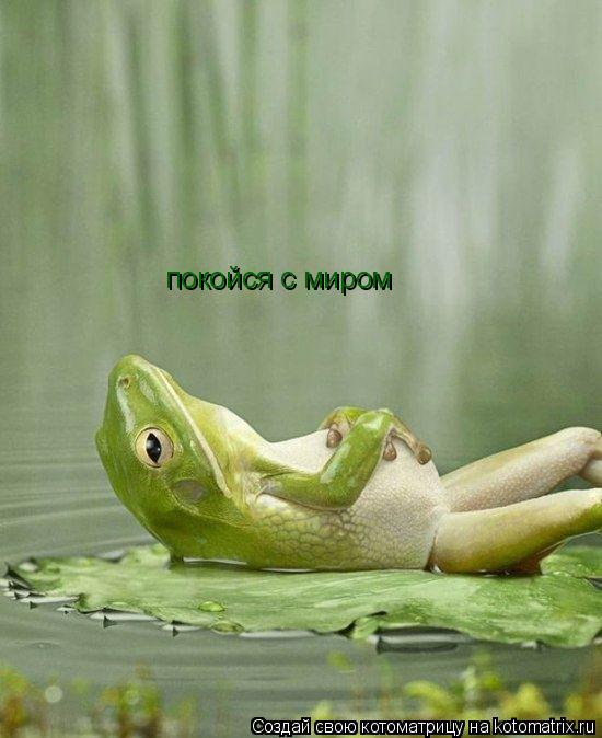 Котоматрица: покойся с миром
