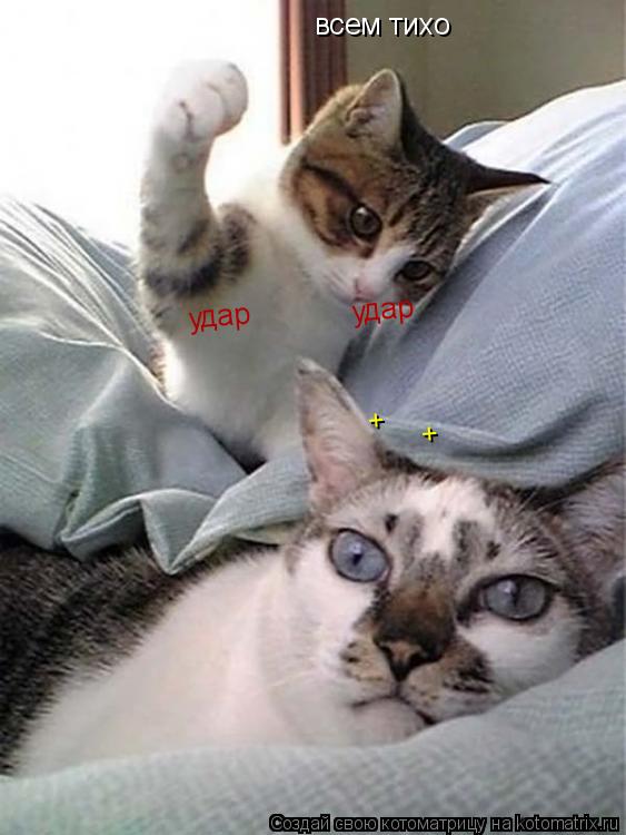 Котоматрица: всем тихо удар удар + +