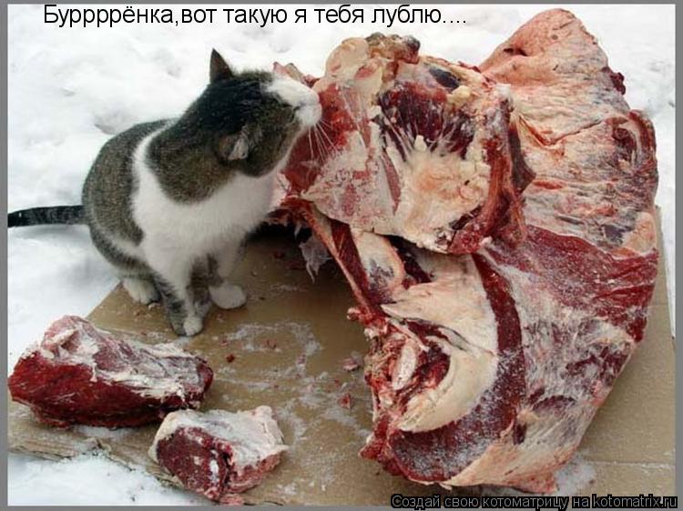 Котоматрица: Буррррёнка,вот такую я тебя лублю....