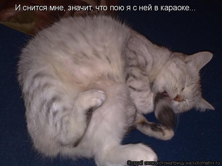 Котоматрица: И снится мне, значит, что пою я с ней в караоке...