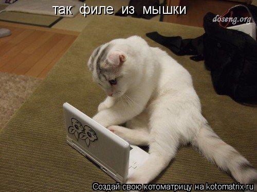 Котоматрица: так  филе  из  мышки