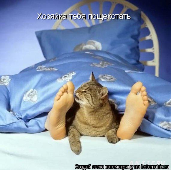 Котоматрица: Хозяйка тебя пощекотать
