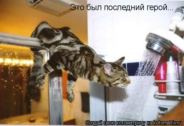 Котоматрица: Это был последний герой...