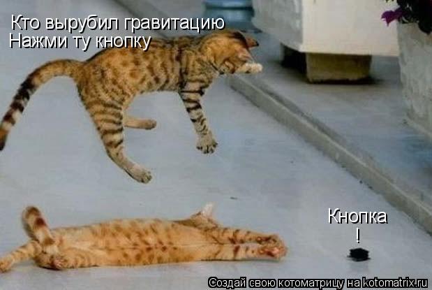 Котоматрица: Кто вырубил гравитацию Нажми ту кнопку Кнопка !