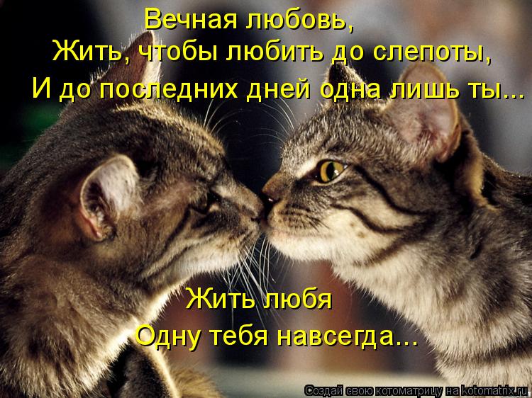 Вечная любовь, Жить, чтобы любить до слепоты, И до последних дней одна лишь ты... Жить любя Одну теб... Котоматрица: Вечная любовь, Жить, чтобы любить до слепоты, И до последних дней одна лишь ты... Жить любя Одну тебя навсегда...