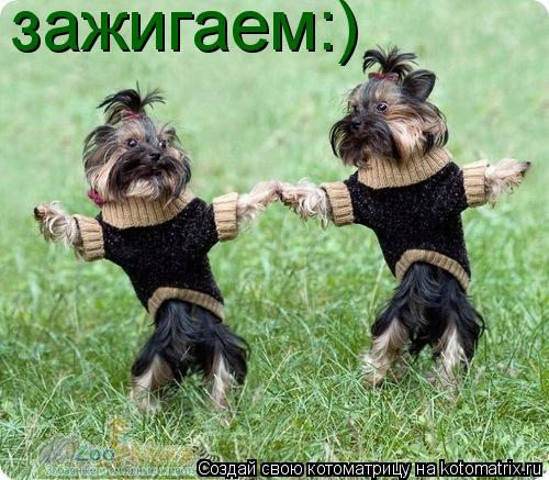 зажигаем:)... Котоматрица: зажигаем:)