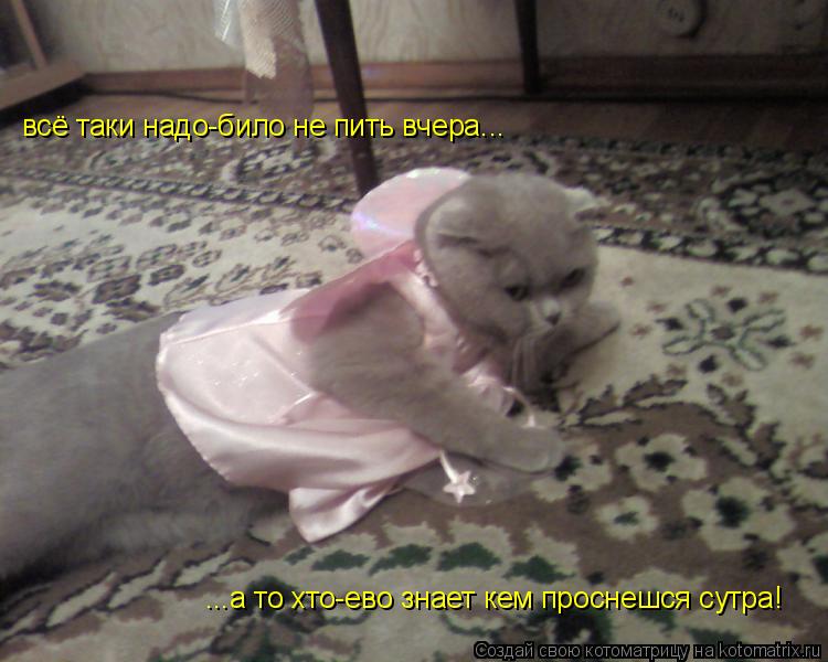 всё таки надо-било не пить вчера... ...а то хто-ево знает кем проснешся сутра!... Котоматрица: всё таки надо-било не пить вчера... ...а то хто-ево знает кем проснешся сутра!