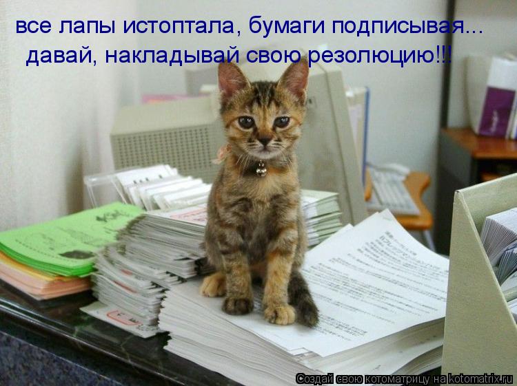 Котоматрица: все лапы истоптала, бумаги подписывая... давай, накладывай свою резолюцию!!!