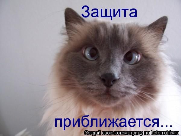 Котоматрица: Защита приближается...
