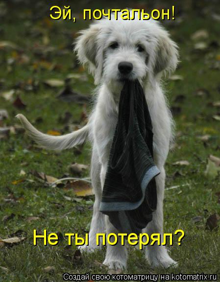 Котоматрица: Эй, почтальон! Не ты потерял?