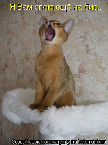 Котоматрица: Я Вам спою,ещё на бис..