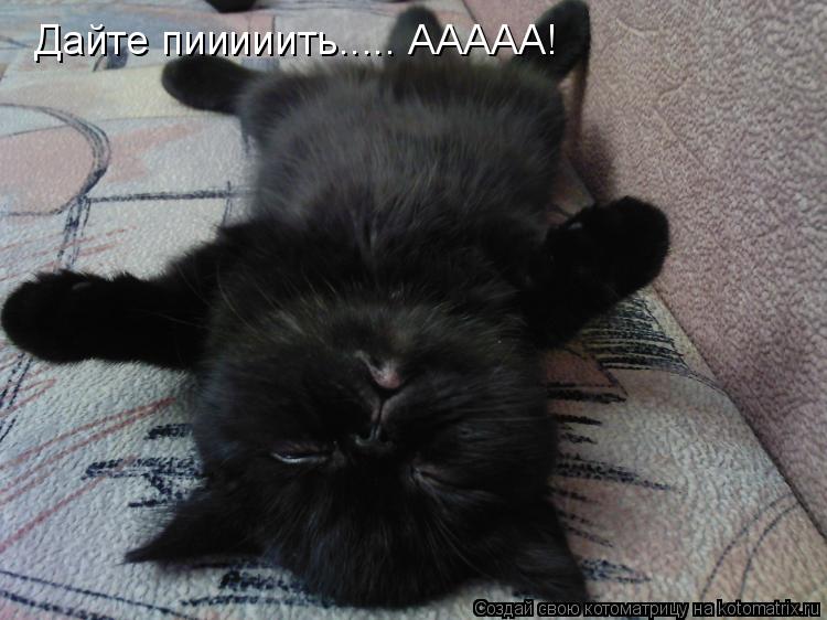 Дайте пииииить..... ААААА!... Котоматрица: Дайте пииииить..... ААААА!