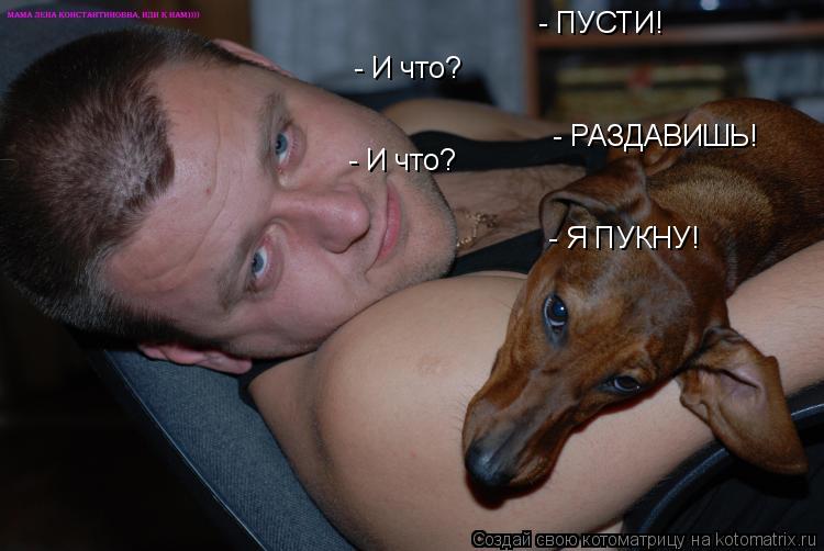 - ПУСТИ! - И что? - РАЗДАВИШЬ! - И что? - Я ПУКНУ!... Котоматрица: - ПУСТИ! - И что? - РАЗДАВИШЬ! - И что? - Я ПУКНУ!