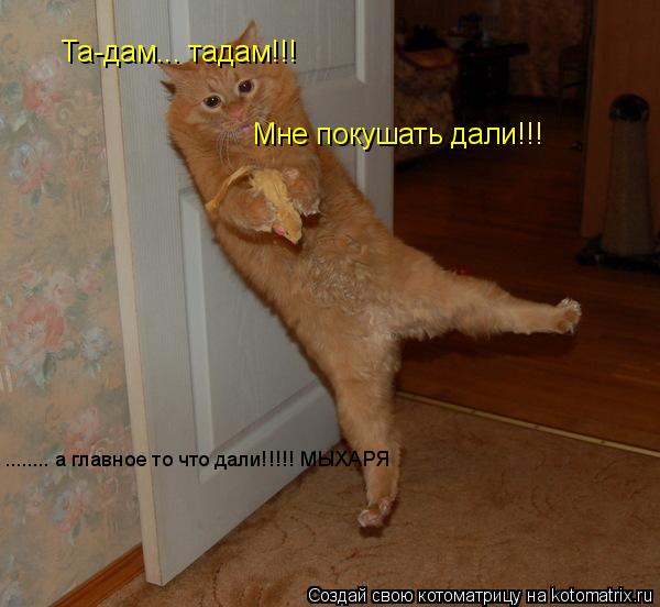 Котоматрица: Та-дам... тадам!!! Мне покушать дали!!! ........ а главное то что дали!!!!! МЫХАРЯ