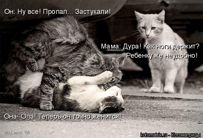 Он: Ну все! Пропал... Застукали! Она: Опа! Теперь он точно женится! Мама: Дура! Как ноги держит? Ребе... Котоматрица: Он: Ну все! Пропал... Застукали! Она: Опа! Теперь он точно женится! Мама: Дура! Как ноги держит? Ребенку же неудобно!