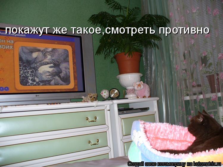 Котоматрица: покажут же такое,смотреть противно