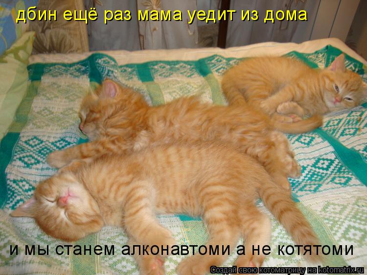 Котоматрица: дбин ещё раз мама уедит из дома   и мы станем алконавтоми а не котятоми