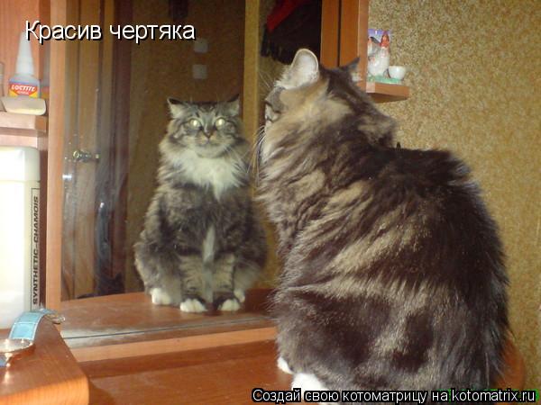 Котоматрица: Красив чертяка Красив чертяка