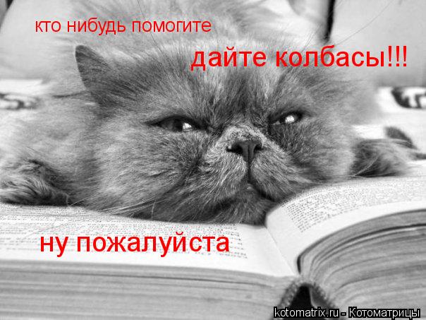 кто нибудь помогите дайте колбасы!!! ну пожалуйста... Котоматрица: кто нибудь помогите дайте колбасы!!! ну пожалуйста