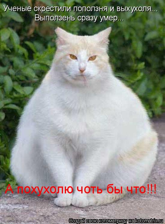 Ученые скрестили поползня и выхухоля... Выползень сразу умер... А похухолю чоть бы что!!!... Котоматрица: Ученые скрестили поползня и выхухоля... Выползень сразу умер... А похухолю чоть бы что!!!
