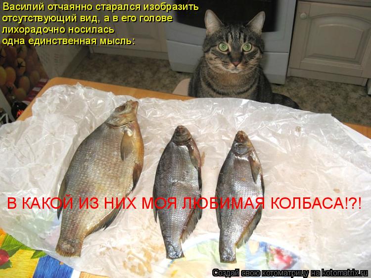 Василий отчаянно старался изобразить отсутствующий вид, а в его голове лихорадочно носилась одна един... Котоматрица: Василий отчаянно старался изобразить отсутствующий вид, а в его голове лихорадочно носилась одна единственная мысль: В КАКОЙ ИЗ НИХ МОЯ ЛЮ