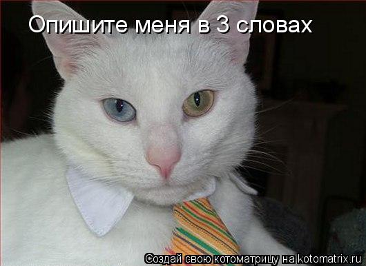 Опишите меня в 3 словах... Котоматрица: Опишите меня в 3 словах