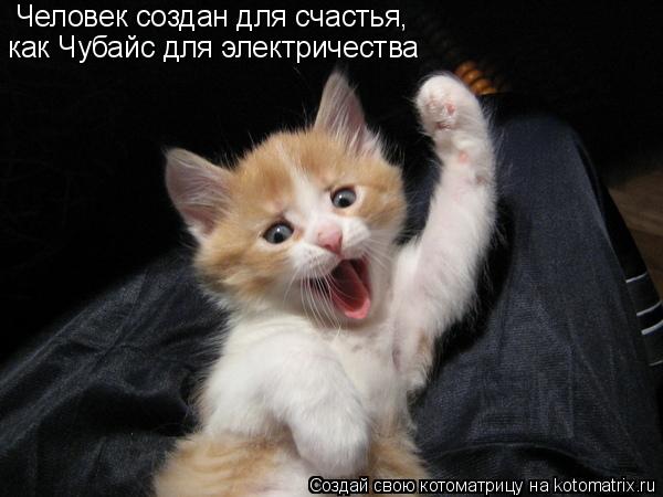 Человек создан для счастья, как Чубайс для электричества... Котоматрица: Человек создан для счастья, как Чубайс для электричества