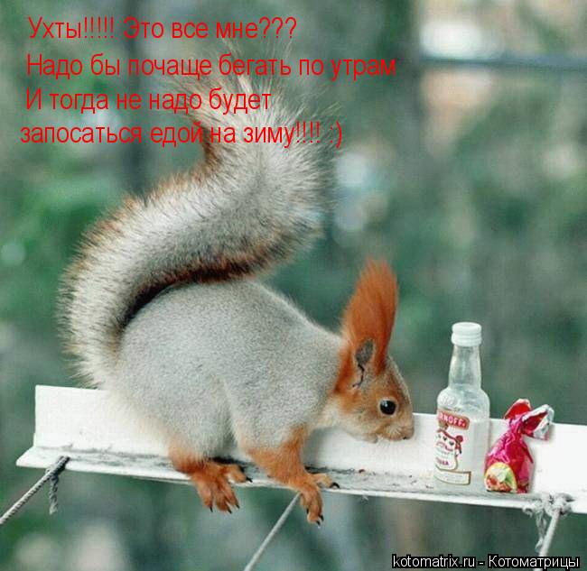 Ухты!!!!! Это все мне??? Надо бы почаще бегать по утрам И тогда не надо будет запосаться едой на зим... Котоматрица: Ухты!!!!! Это все мне??? Надо бы почаще бегать по утрам И тогда не надо будет запосаться едой на зиму!!!! :)