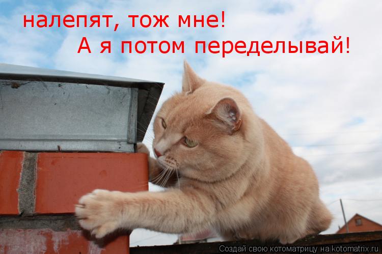 налепят, тож мне! А я потом переделывай!... Котоматрица: налепят, тож мне! А я потом переделывай!