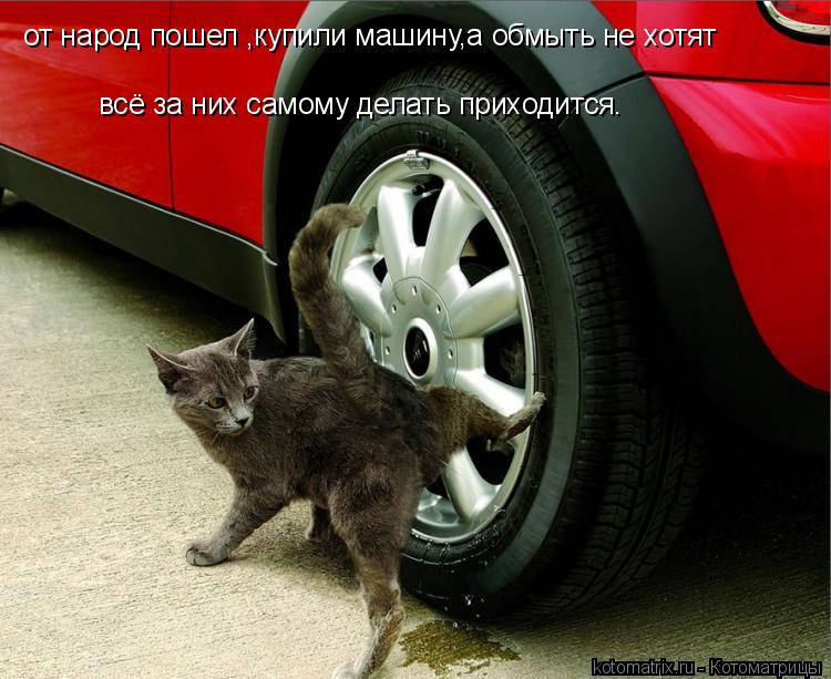 Котоматрица: от народ пошел ,купили машину,а обмыть не хотят  всё за них самому делать приходится.