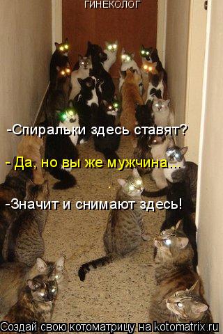 ГИНЕКОЛОГ -Спиральки здесь ставят? - Да, но вы же мужчина... -Значит и снимают здесь!... Котоматрица: ГИНЕКОЛОГ -Спиральки здесь ставят? - Да, но вы же мужчина... -Значит и снимают здесь!