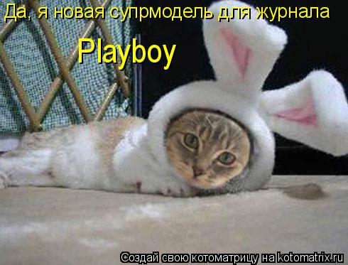Да, я новая супрмодель для журнала Playboy... Котоматрица: Да, я новая супрмодель для журнала Playboy