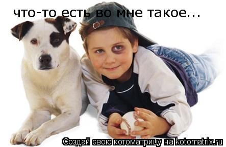 Котоматрица: что-то есть во мне такое...