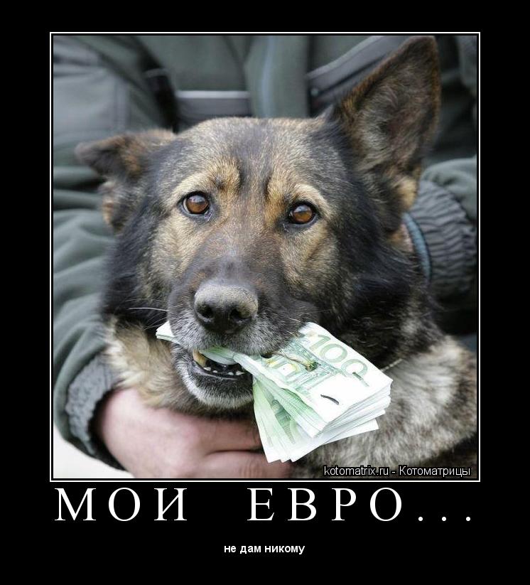 М О И Е В Р О . . . ... Котоматрица: М О И Е В Р О . . .