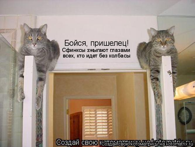 Бойся, пришелец! Сфинксы зжыгают глазами всех, кто идет без колбасы... Котоматрица: Бойся, пришелец! Сфинксы зжыгают глазами всех, кто идет без колбасы