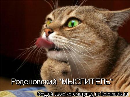 Котоматрица: Роденовский "МЫСЛИТЕЛЬ"