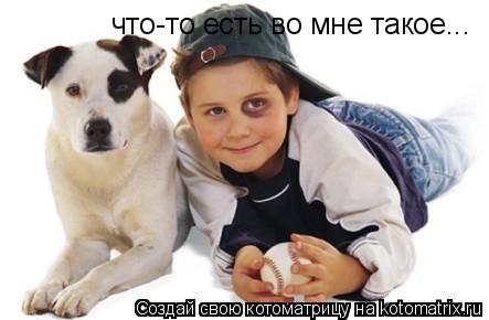 Котоматрица: что-то есть во мне такое...