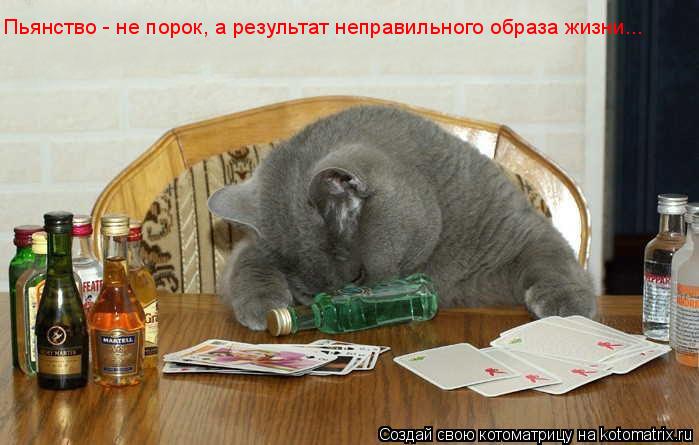 Пьянство - не порок, а результат неправильного образа жизни...... Котоматрица: Пьянство - не порок, а результат неправильного образа жизни...