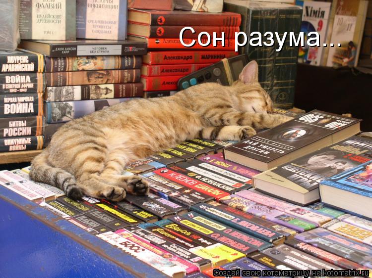Сон разума...... Котоматрица: Сон разума...