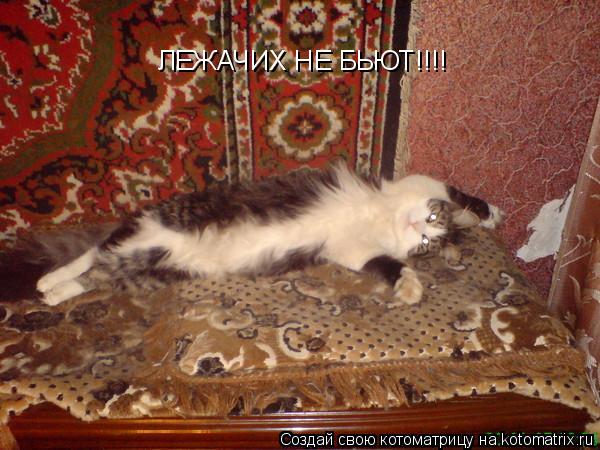 Котоматрица: ЛЕЖАЧИХ НЕ БЬЮТ!!!!