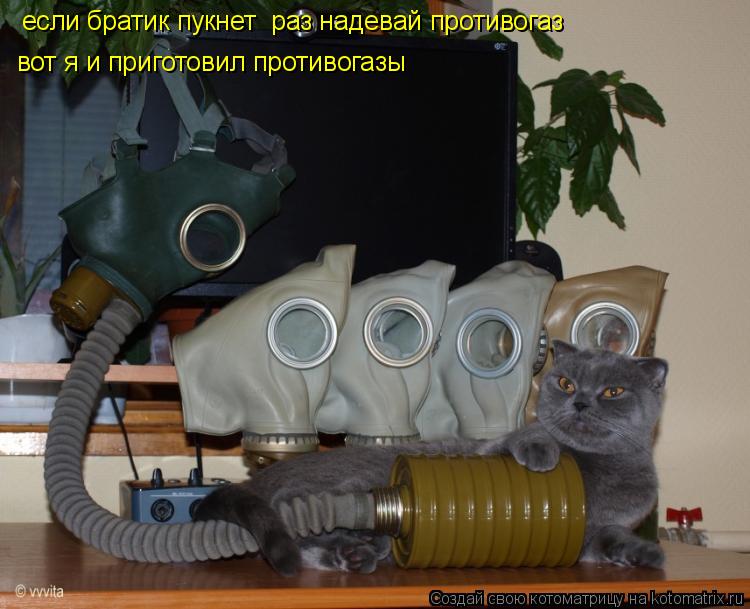 если братик пукнет раз надевай противогаз вот я и приготовил противогазы... Котоматрица: если братик пукнет раз надевай противогаз вот я и приготовил противогазы